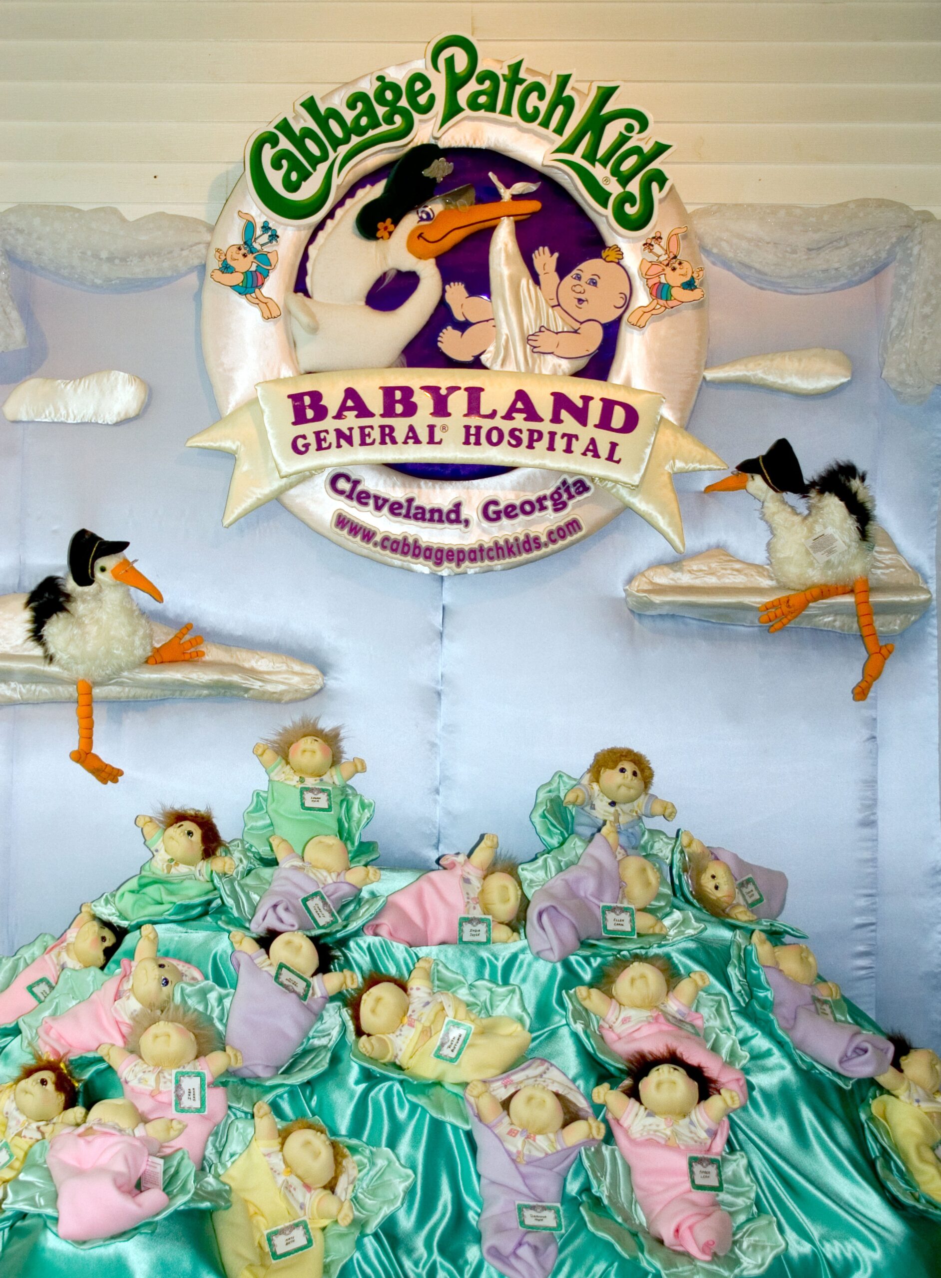 Babyland General Hospital.