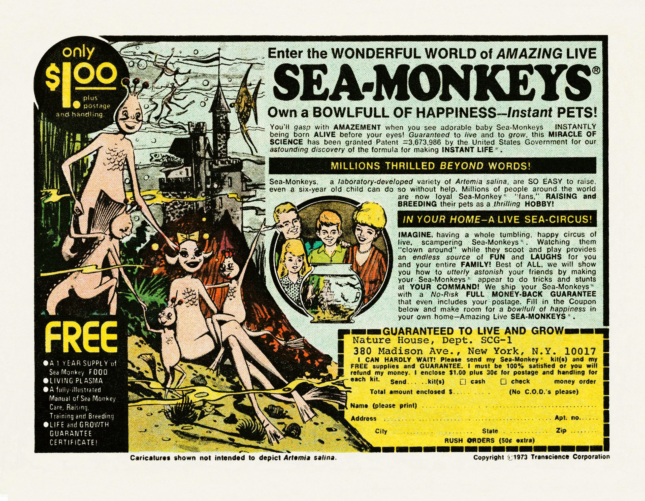 Sea Monkeys in comic book. 