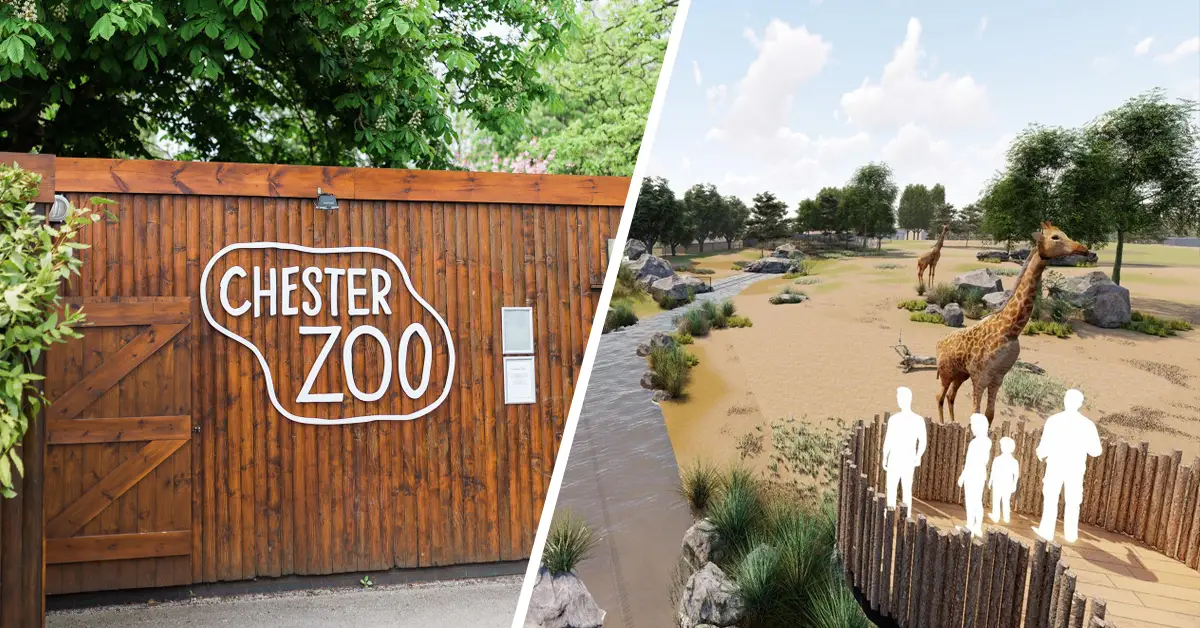 Chester Zoo To Launch Amazing New Lodges Where You Can Stay The Night