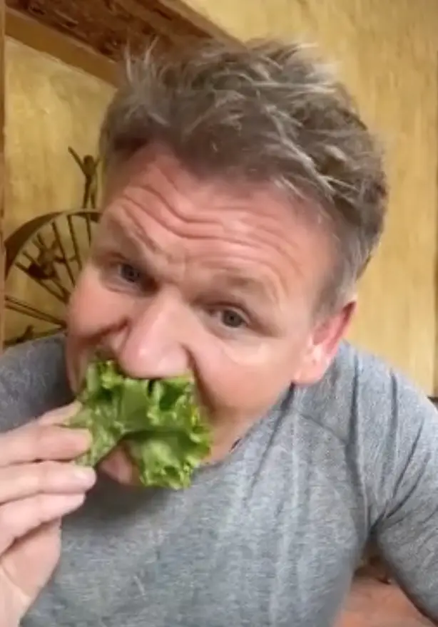 Gordon Ramsay Dubs Vegan TikToker A 'Doughnut' In Viral Clip