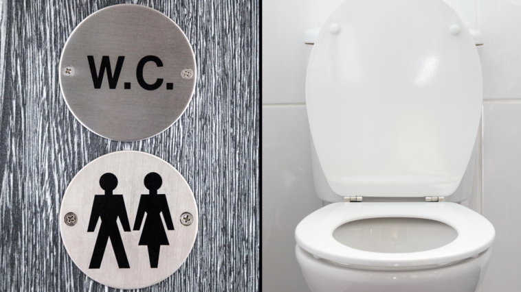 People are only just realising what the WC toilet sign actually stands for.