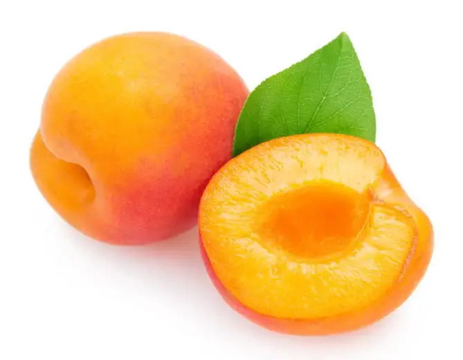 Apricot