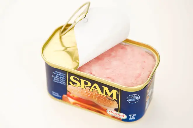 SPAM