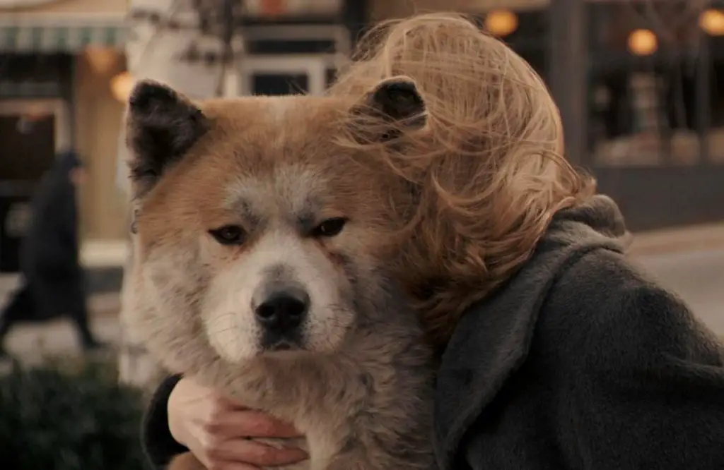 Hachi: A Dog's Tale (2009).