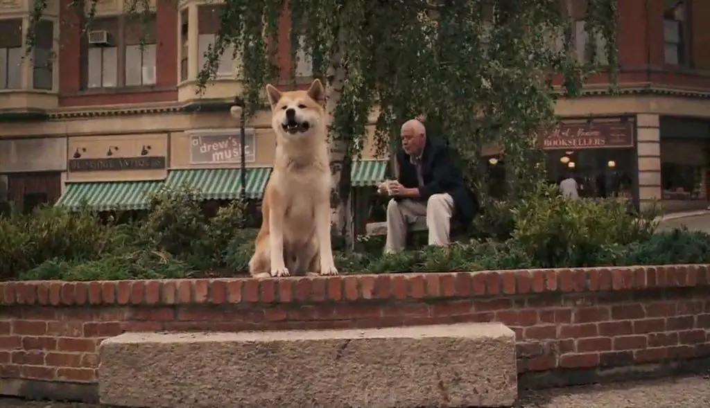 Hachi: A Dog's Tale (2009).