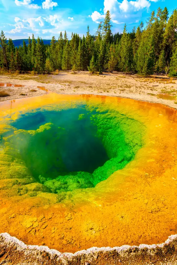 Yellowstone National Park.