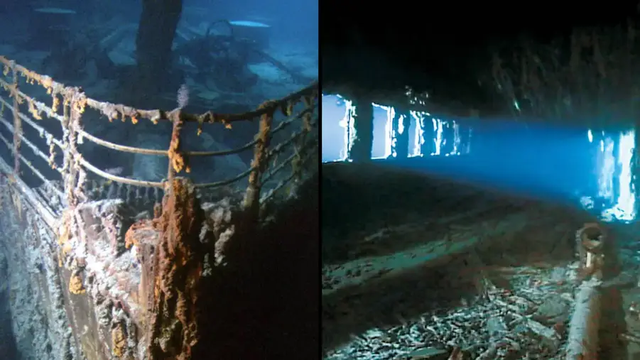 The reason no human remains were found on the Titanic has left the internet shocked.