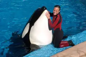 Dawn Brancheau and orca Tilikum.