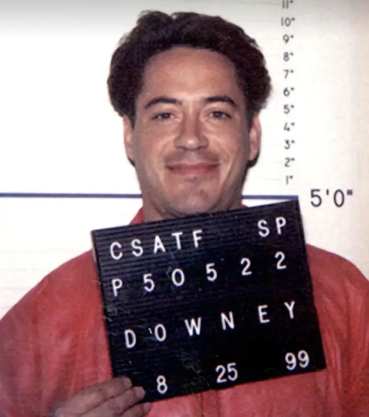 Robert Downey Jr mugshot.