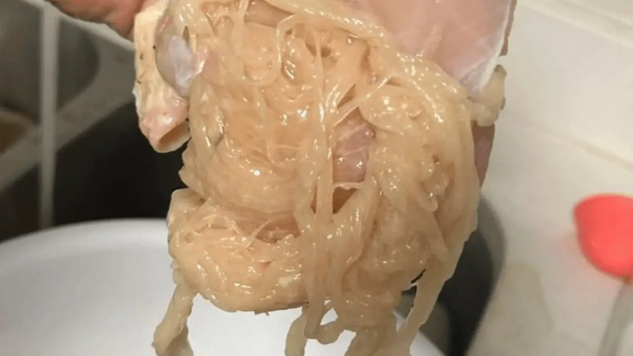 People are feeling nauseated after learning what 'spaghetti chicken' is.