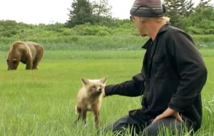 'Grizzly Man'