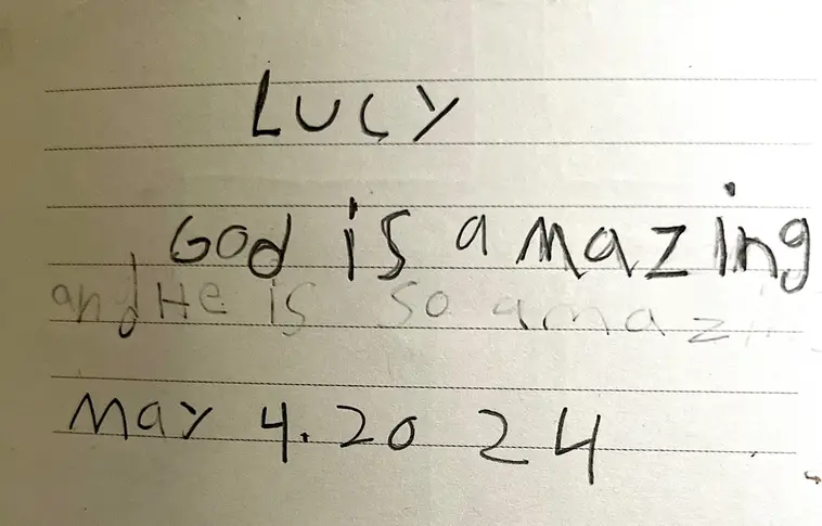 Lucy Morgan's Diary