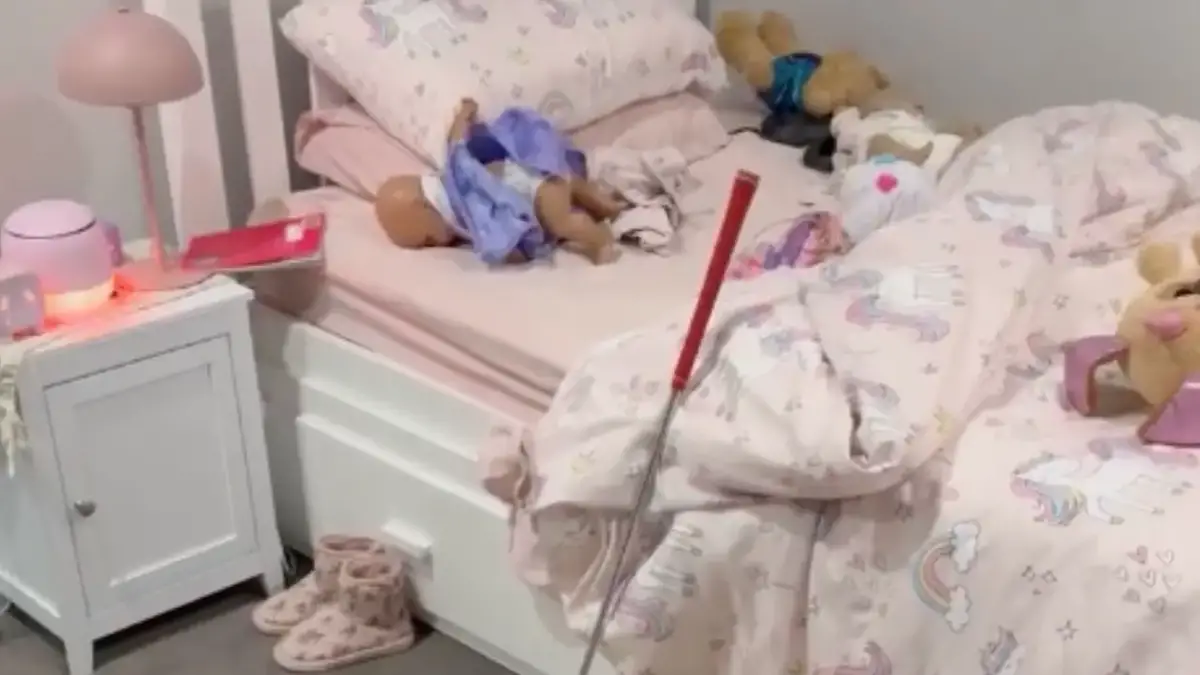 A chilling photo shows an incredibly dangerous animal hiding in a child's bed and people are saying it's 'impossible to spot.'