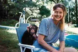 Travis the chimp and Charla Nash.