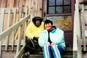 Travis the chimp and Sandra Herold.