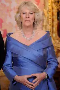 Queen Camilla