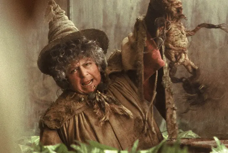 Miriam Margolyes in Harry Potter