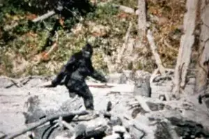 Patterson–Gimlin film