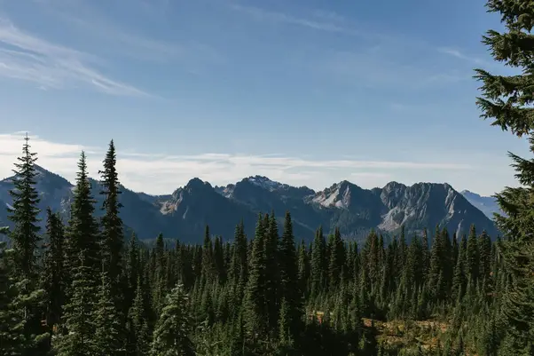 Pacific Northwest Forest