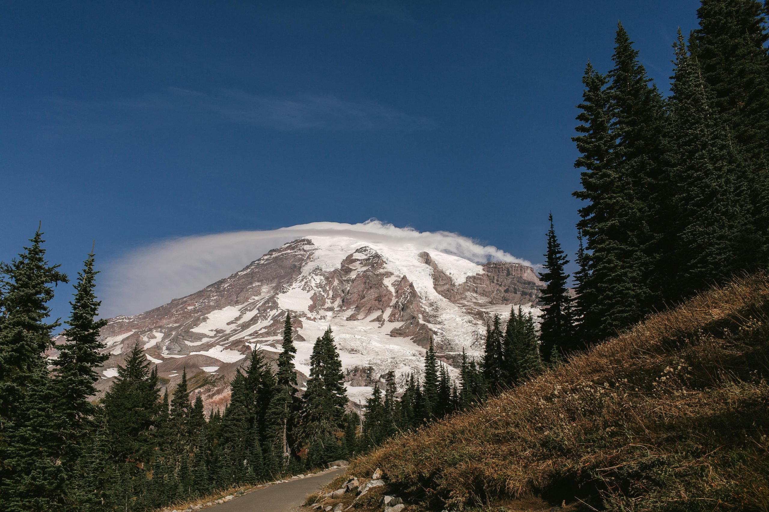 Pacific Northwest Forest