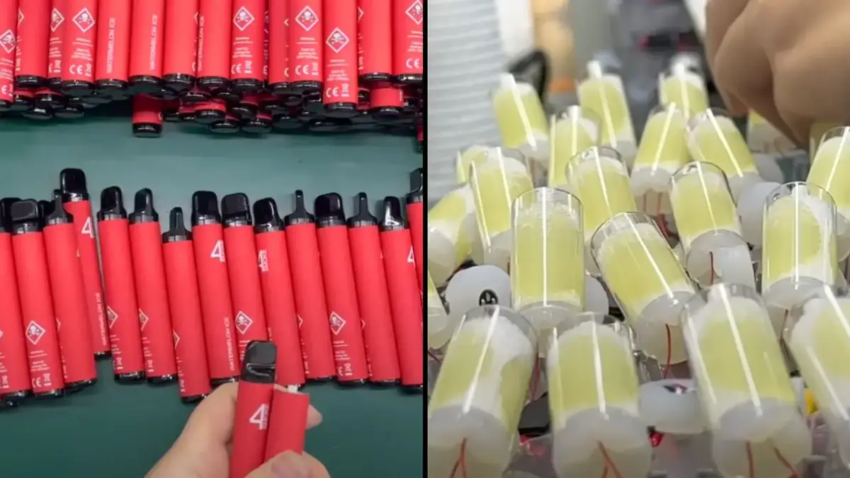 A video showing how disposable vapes are made has people swearing off using them again.