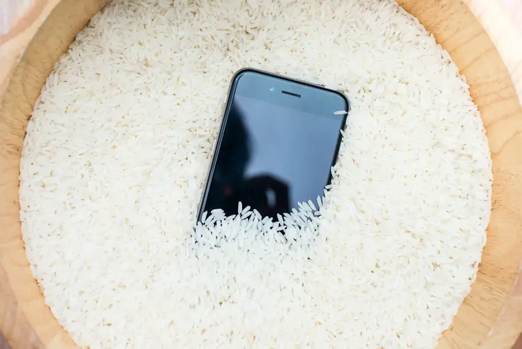 iPhone in rice