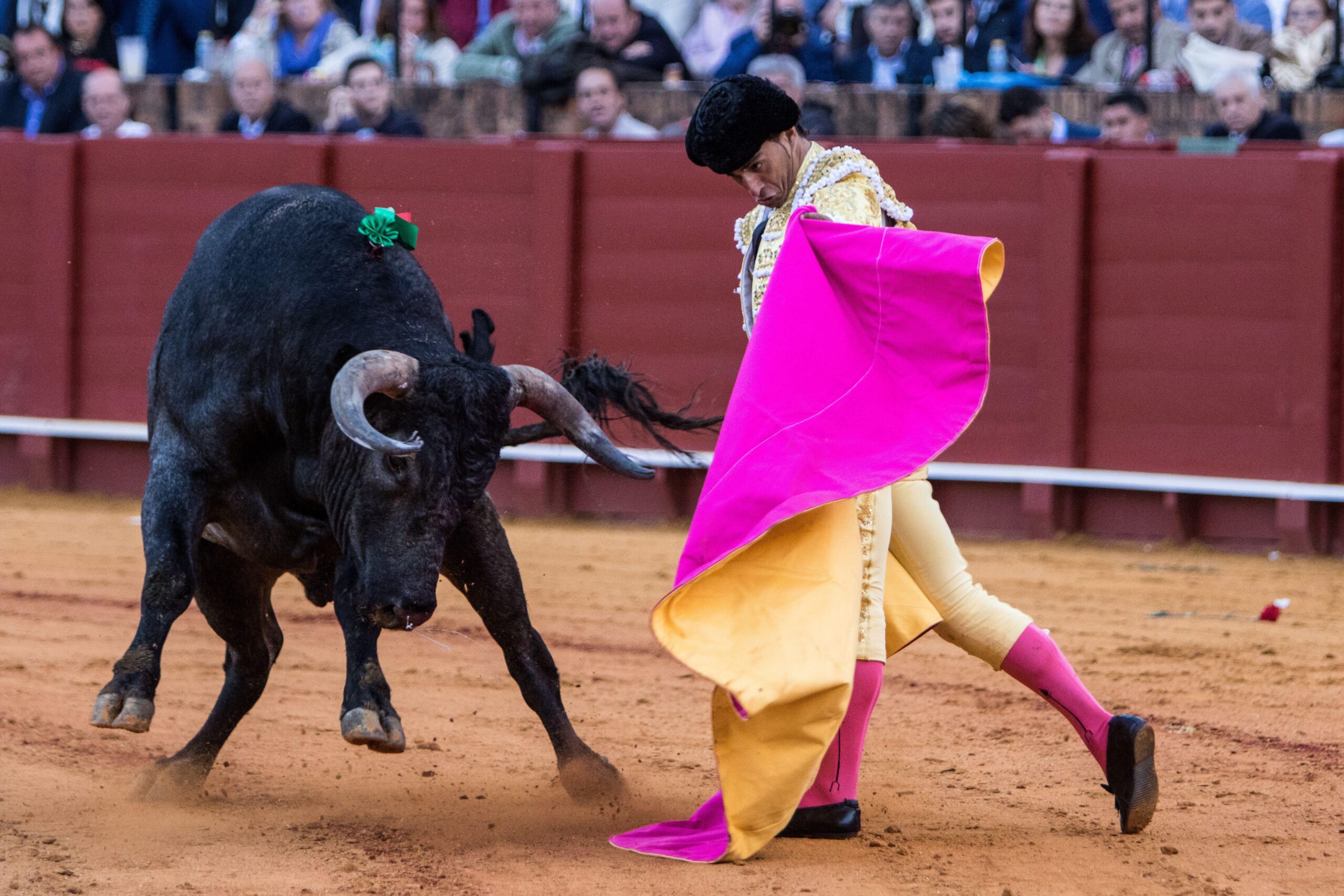 Iván Fandiño Barros