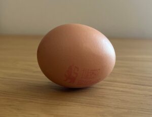 Egg