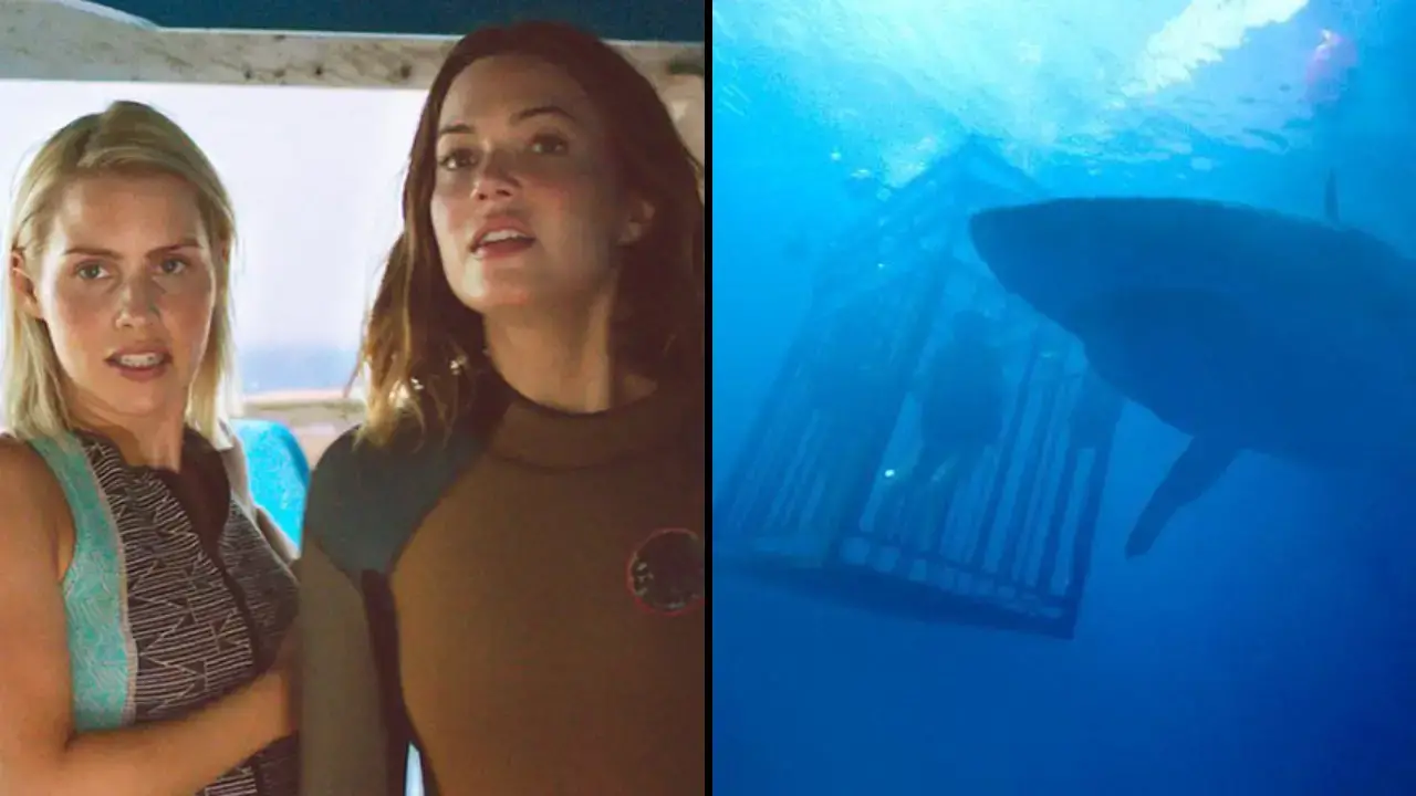 47 Meters Down on Netflix is leaving horror fans 'yelling at the TV screen' over the anxiety-inducing shark film.