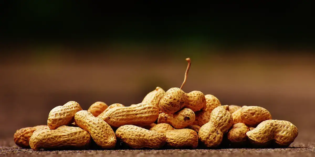 Peanuts