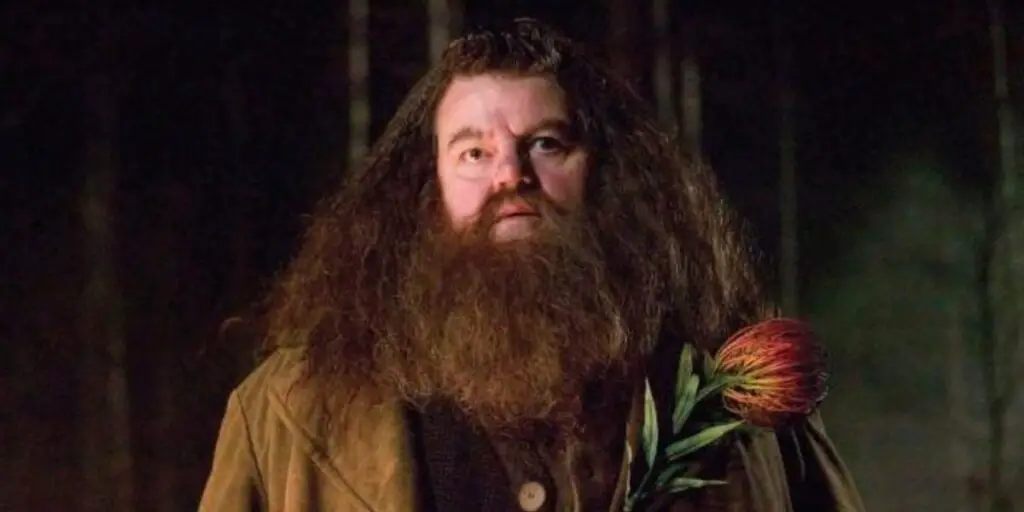 Robbie Coltrane as Rubeus Hagrid.