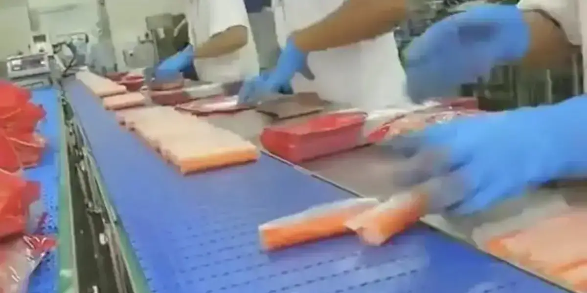 Crab sticks