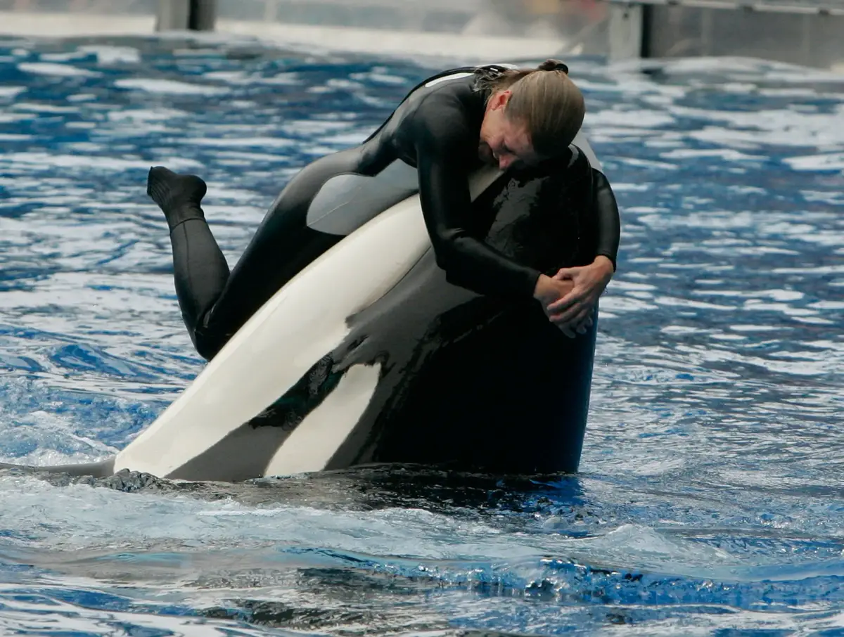 Dawn Brancheau and orca.