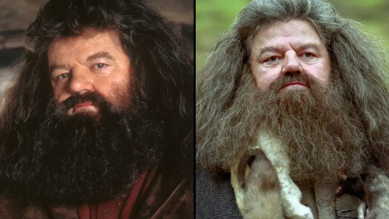 Harry Potter actor Robbie Coltrane, who starred as Hagrid in the popular wizarding movies, has died aged 72.