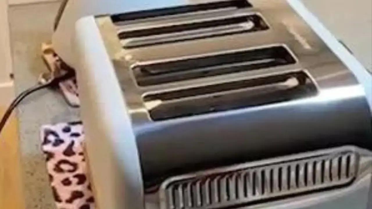 A woman has shared the 'hidden compartment' in a toaster and people had no idea that it existed.