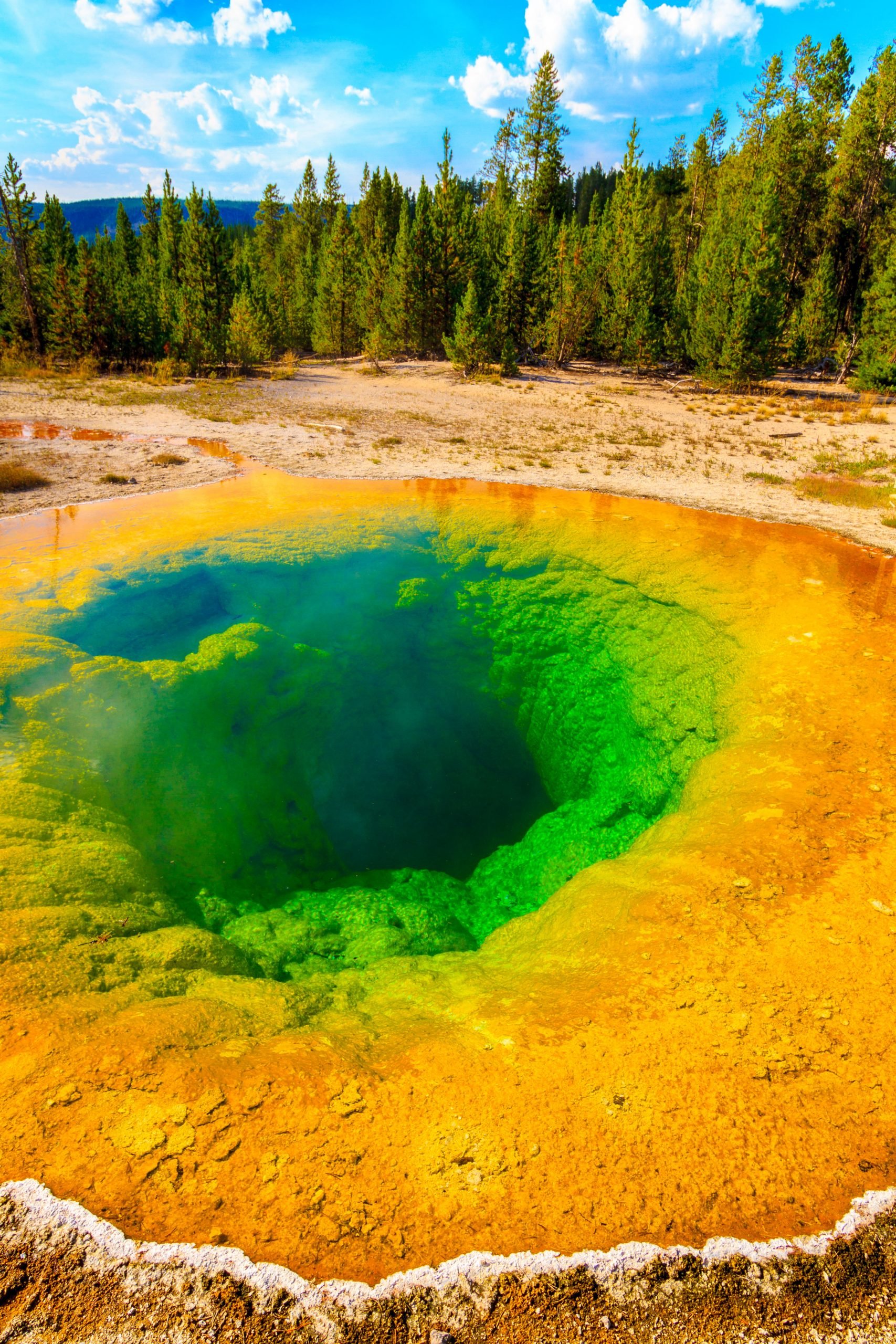 Yellowstone National Park. 