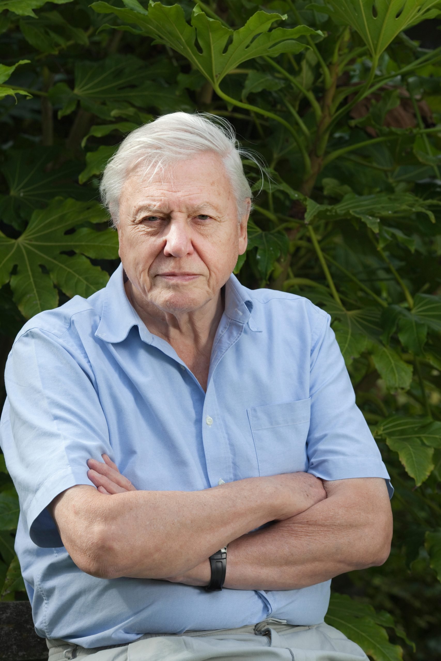 Sir David Attenborough