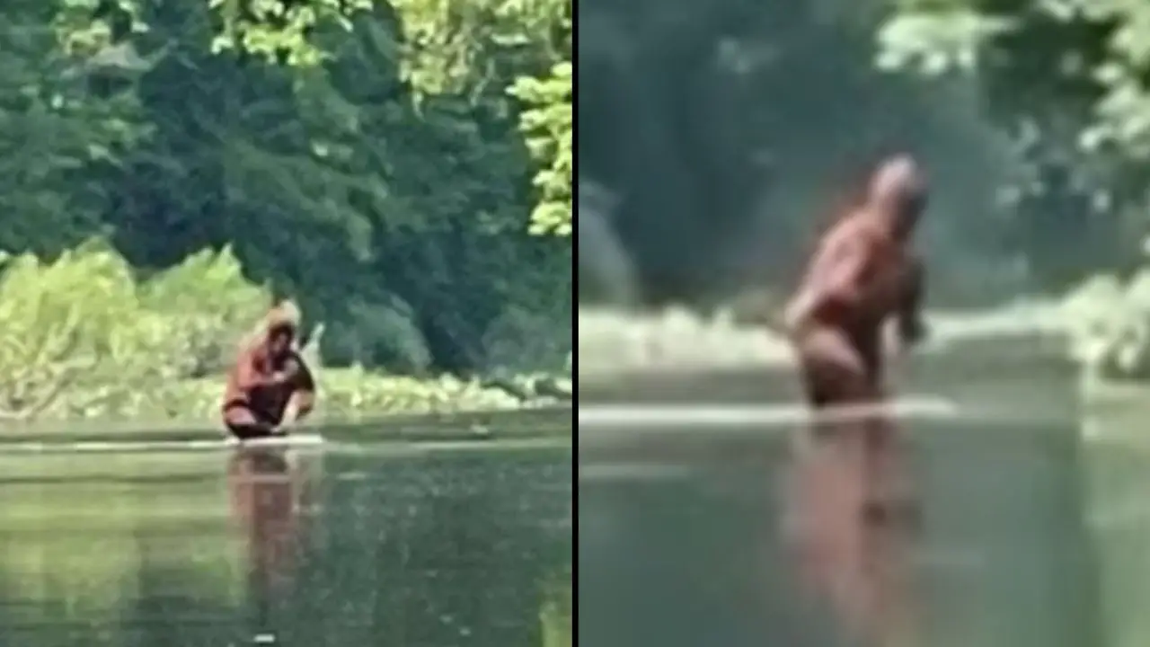 Astonishing footage appears to show the mythical Bigfoot carrying a baby sasquatch.