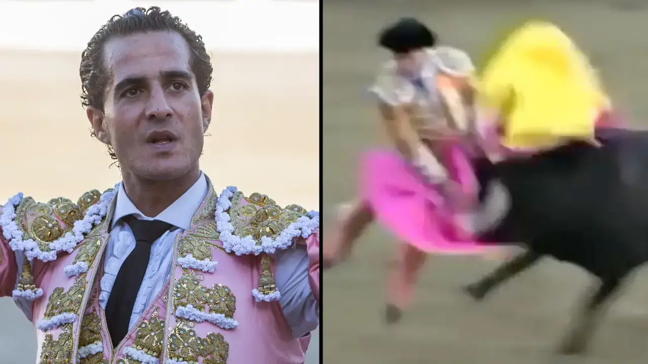 An award-winning matador was horrifically gored to death in a bullfight and his final words were haunting. 