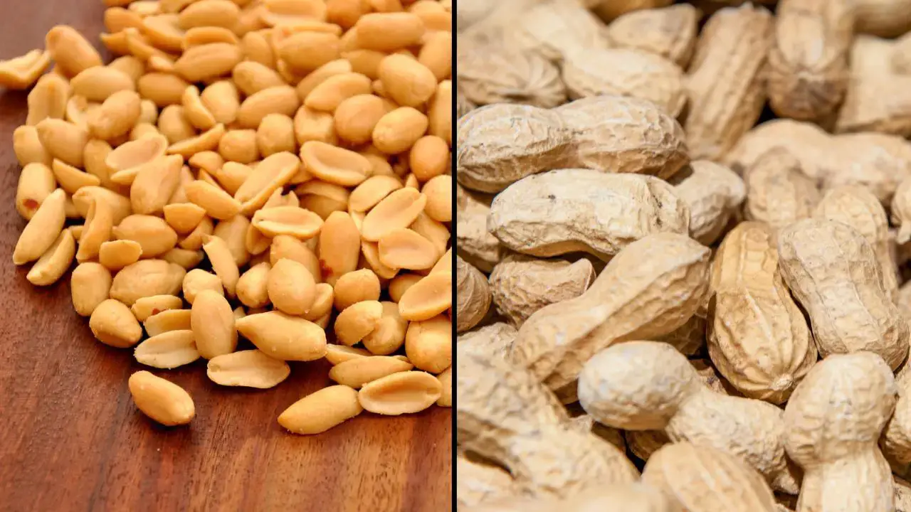 People have been left stunned by the news that peanuts aren't actually nuts at all.