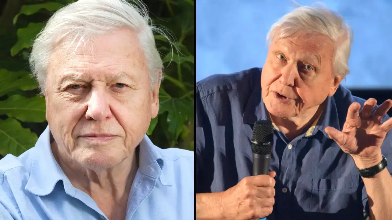 Some David Attenborough fans are only just finding out that he has a famous brother. 