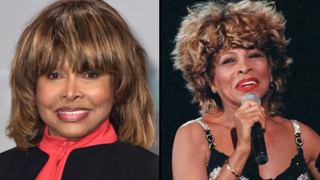 Tina Turner said that having kidney disease put her health in 'great danger'.