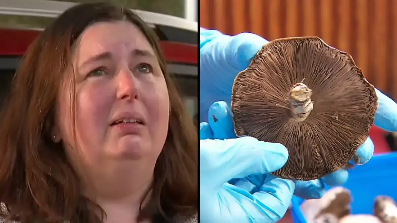 Erin Patterson, who cooked up poisonous mushrooms in a lunch that killed three members of her family, has spoken out.