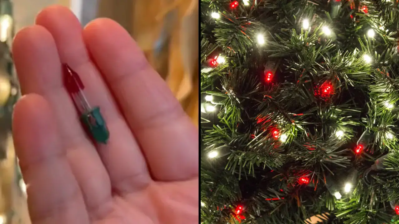 Red Christmas tree lights actually have a purpose and people are only just finding out.