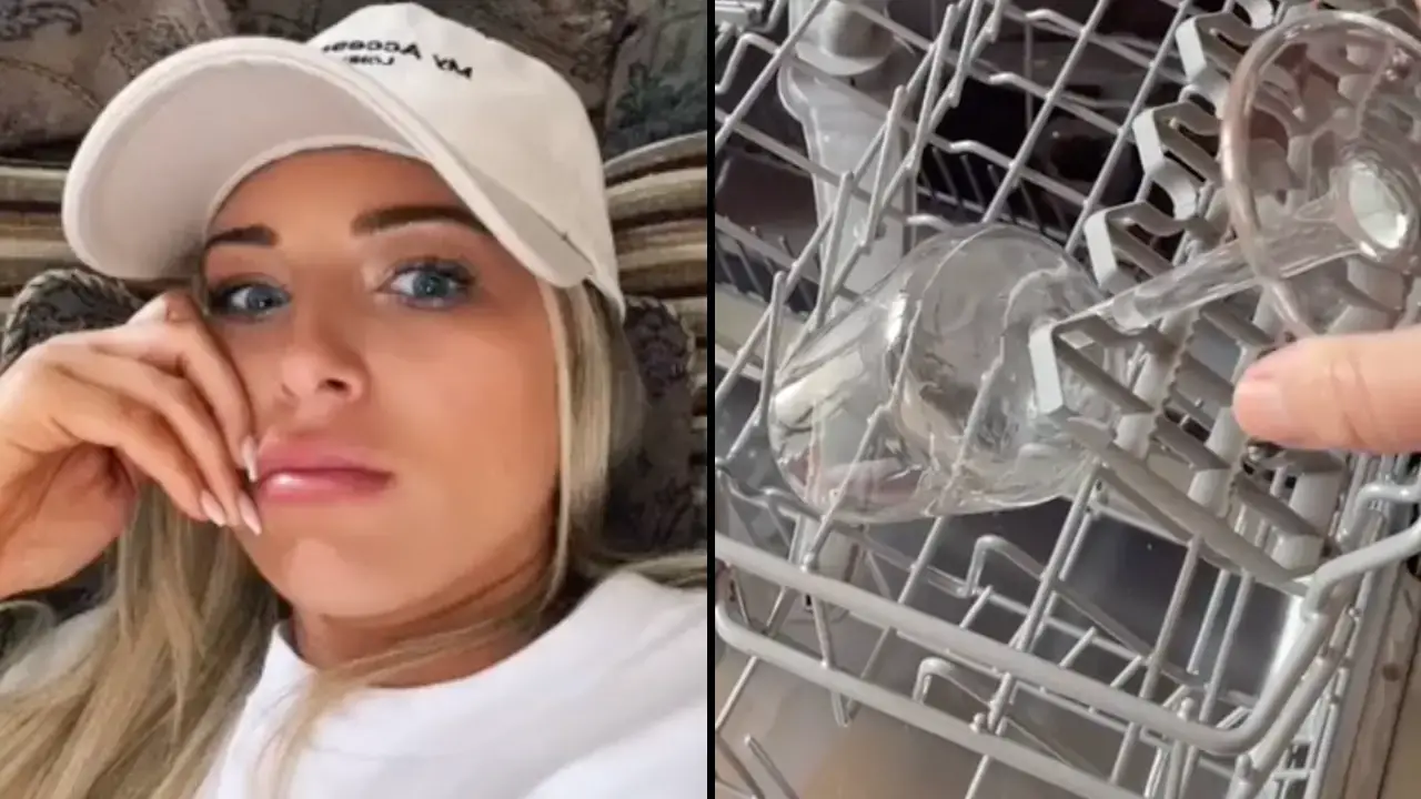 A woman on TikTok has discovered a hidden feature inside dishwashers and it's left people gobsmacked.