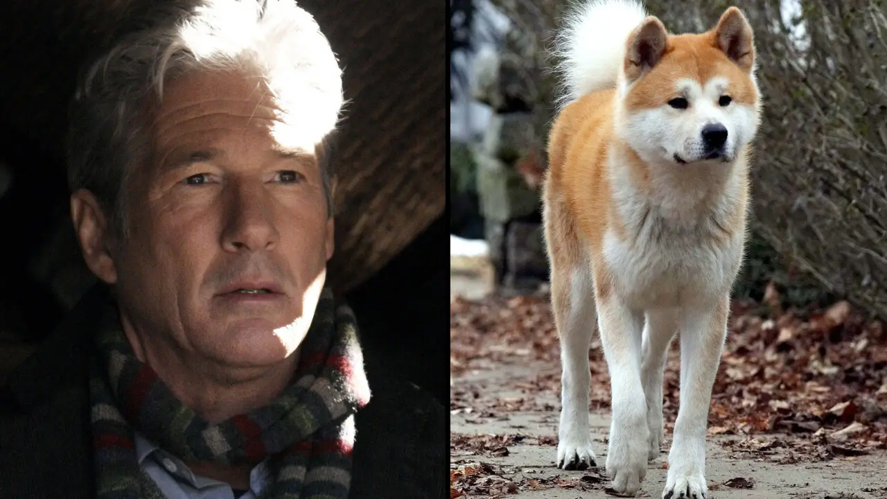 Hachi: A Dog's Tale has left viewers saying it's made them cry so much they're almost throwing up.