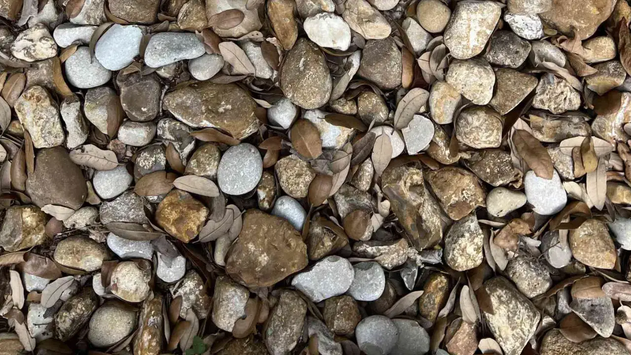 A photo of a pile of pebbles has gone viral on social media as nobody can spot the cleverly concealed wedding ring. 