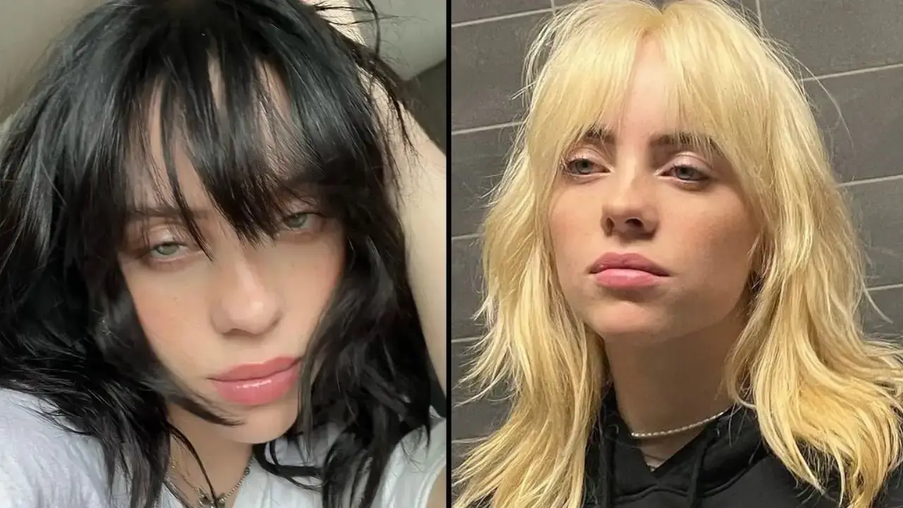 Billie Eilish reportedly lost 100,000 followers on Instagram in an hour after posting one photo. 