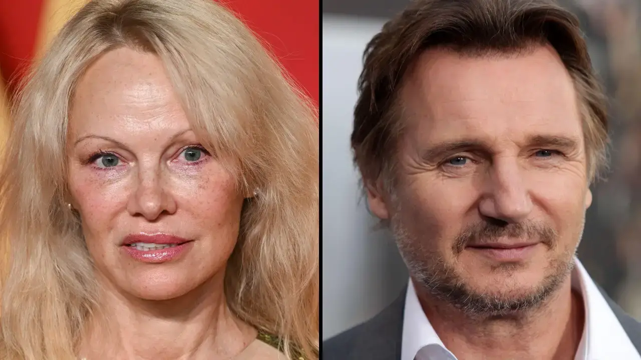 Pamela Anderson responded to Liam Neeson after he revealed he's 'madly in love' with her.