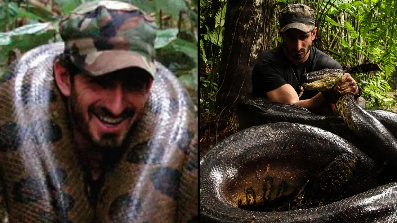 A man who tried to get eaten alive by a snake experienced immediate regret.
